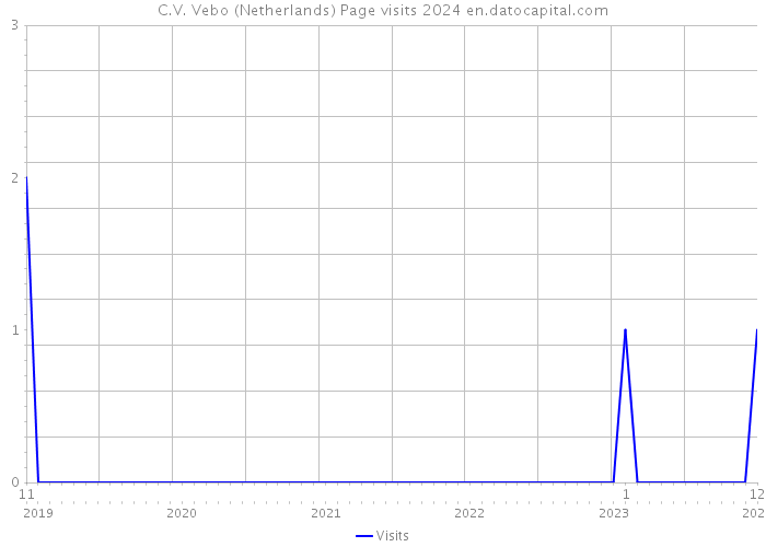 C.V. Vebo (Netherlands) Page visits 2024 