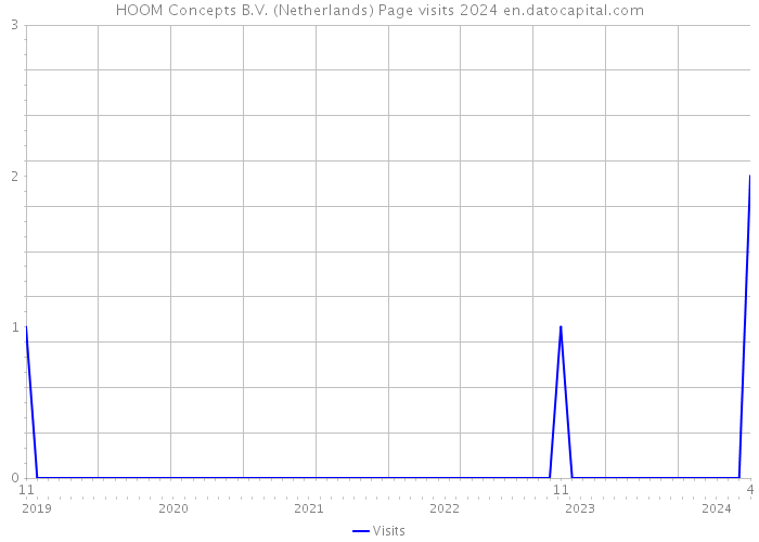 HOOM Concepts B.V. (Netherlands) Page visits 2024 