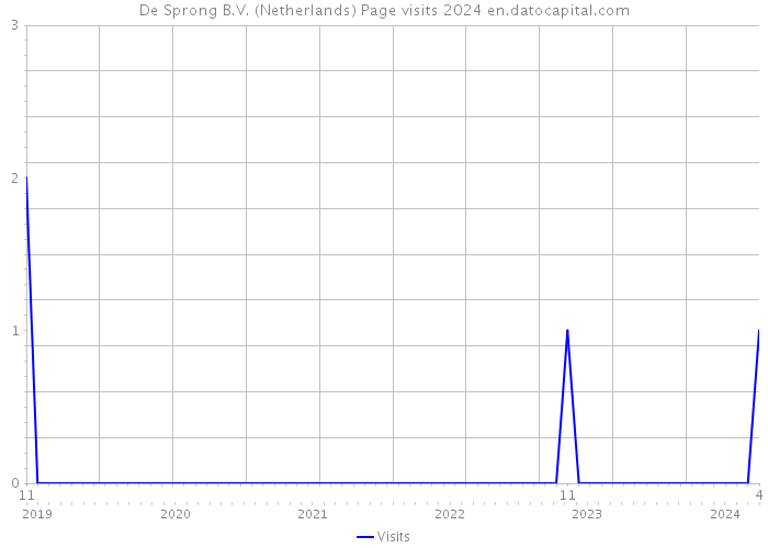 De Sprong B.V. (Netherlands) Page visits 2024 
