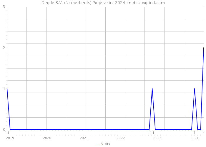 Dingle B.V. (Netherlands) Page visits 2024 
