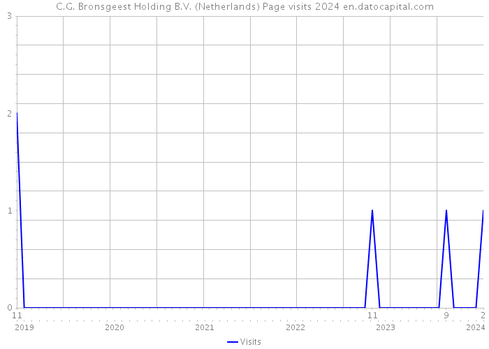 C.G. Bronsgeest Holding B.V. (Netherlands) Page visits 2024 