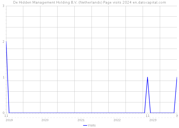 De Hidden Management Holding B.V. (Netherlands) Page visits 2024 