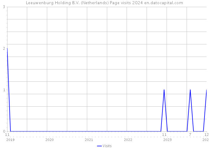 Leeuwenburg Holding B.V. (Netherlands) Page visits 2024 