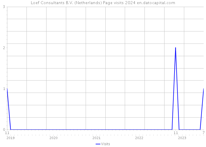 Loef Consultants B.V. (Netherlands) Page visits 2024 