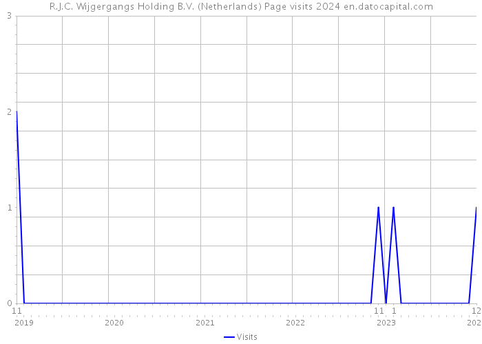 R.J.C. Wijgergangs Holding B.V. (Netherlands) Page visits 2024 