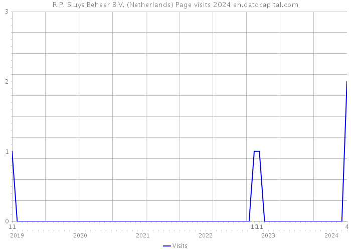 R.P. Sluys Beheer B.V. (Netherlands) Page visits 2024 