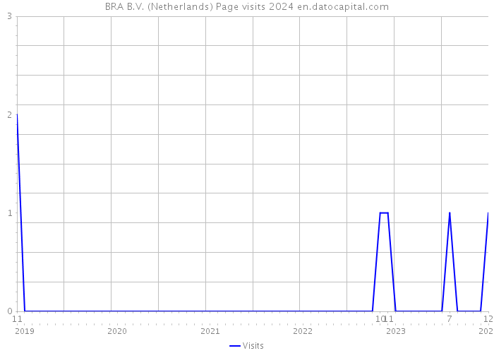 BRA B.V. (Netherlands) Page visits 2024 