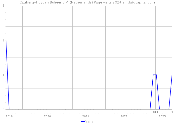 Cauberg-Huygen Beheer B.V. (Netherlands) Page visits 2024 