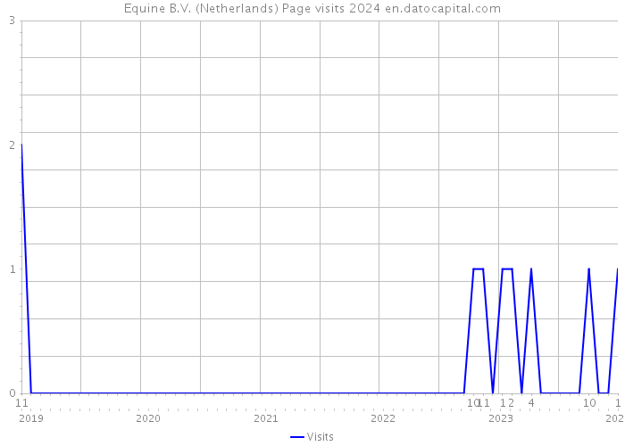 Equine B.V. (Netherlands) Page visits 2024 