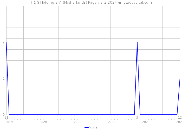 T & S Holding B.V. (Netherlands) Page visits 2024 
