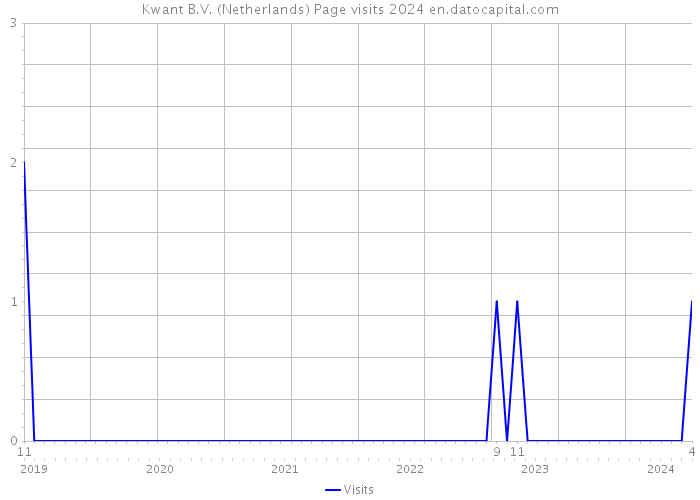 Kwant B.V. (Netherlands) Page visits 2024 