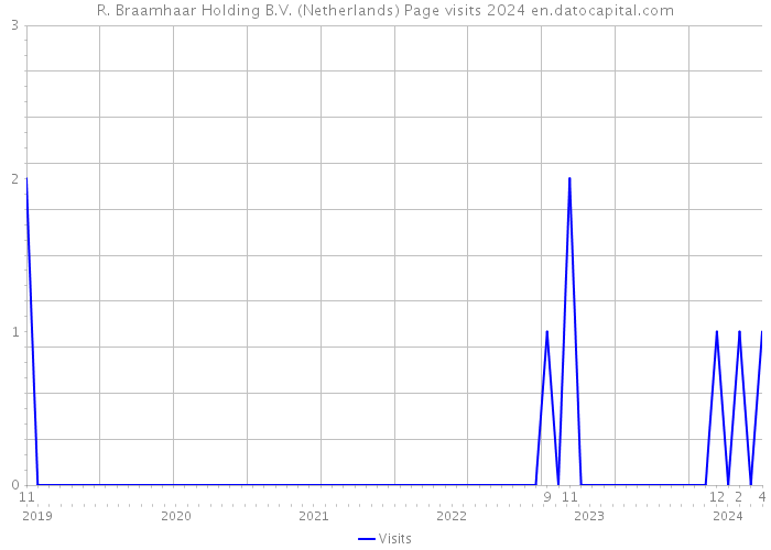 R. Braamhaar Holding B.V. (Netherlands) Page visits 2024 