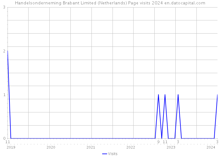 Handelsonderneming Brabant Limited (Netherlands) Page visits 2024 