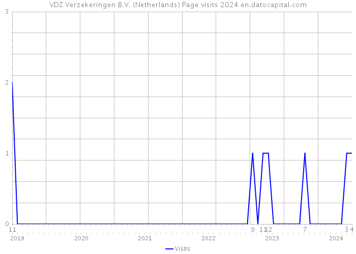 VDZ Verzekeringen B.V. (Netherlands) Page visits 2024 