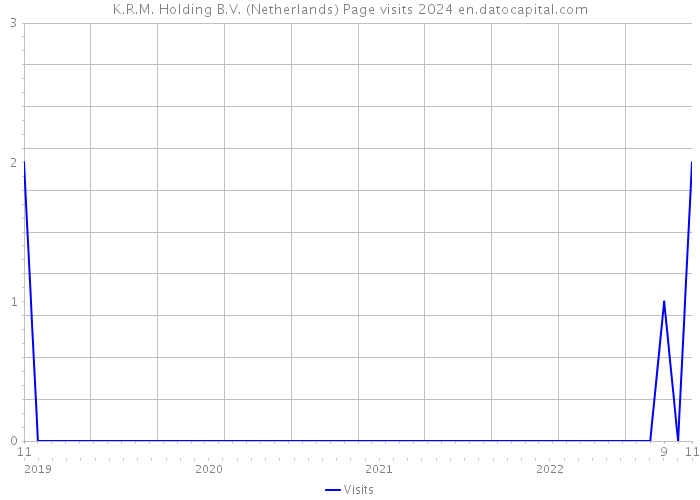 K.R.M. Holding B.V. (Netherlands) Page visits 2024 