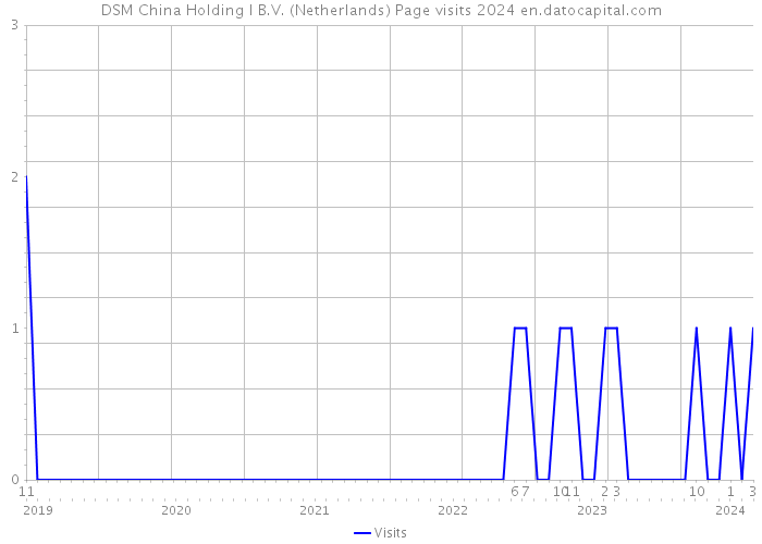 DSM China Holding I B.V. (Netherlands) Page visits 2024 