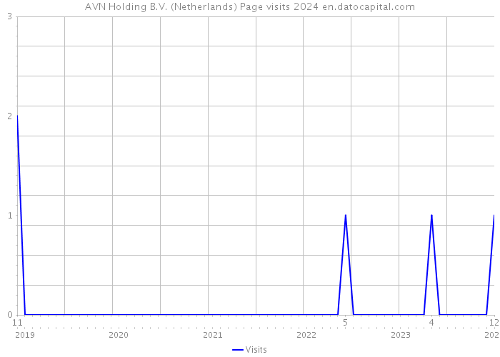 AVN Holding B.V. (Netherlands) Page visits 2024 
