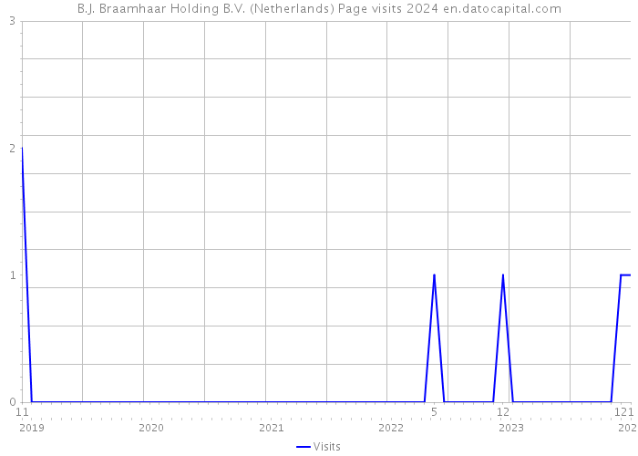 B.J. Braamhaar Holding B.V. (Netherlands) Page visits 2024 