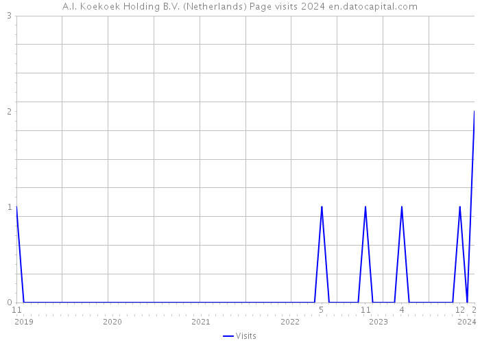 A.I. Koekoek Holding B.V. (Netherlands) Page visits 2024 