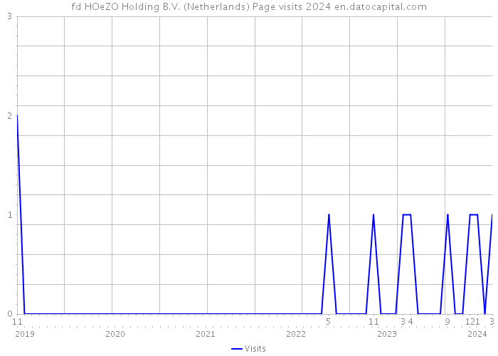 fd HOeZO Holding B.V. (Netherlands) Page visits 2024 