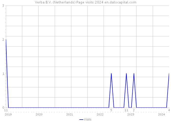 Verba B.V. (Netherlands) Page visits 2024 