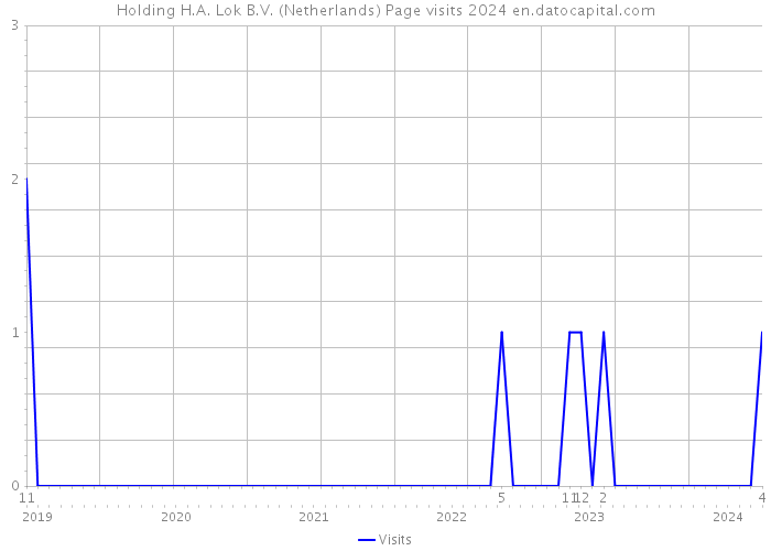 Holding H.A. Lok B.V. (Netherlands) Page visits 2024 