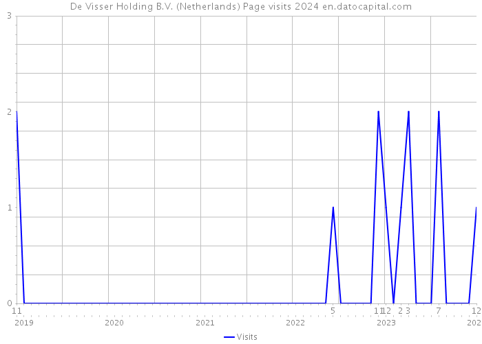 De Visser Holding B.V. (Netherlands) Page visits 2024 