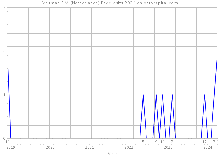 Veltman B.V. (Netherlands) Page visits 2024 