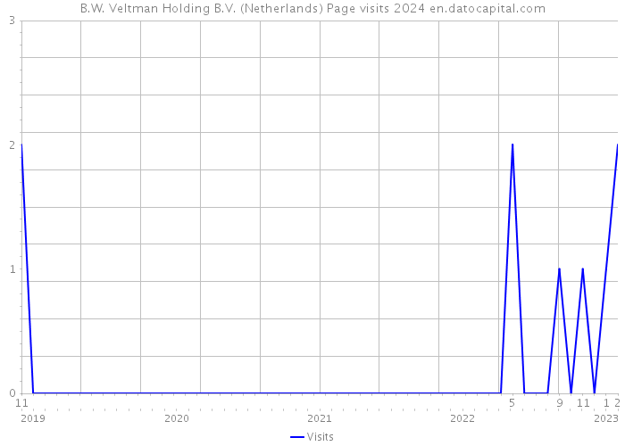 B.W. Veltman Holding B.V. (Netherlands) Page visits 2024 