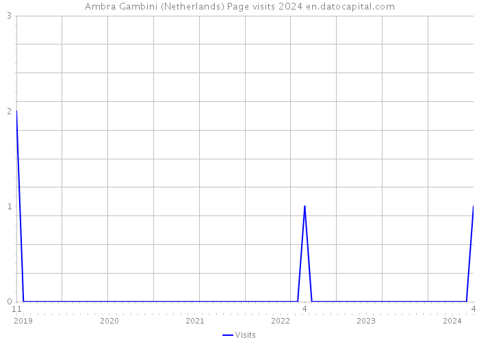 Ambra Gambini (Netherlands) Page visits 2024 
