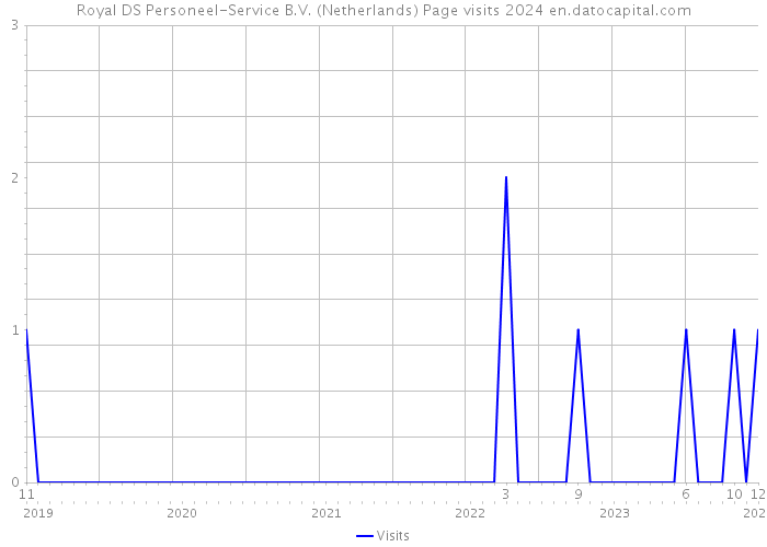 Royal DS Personeel-Service B.V. (Netherlands) Page visits 2024 