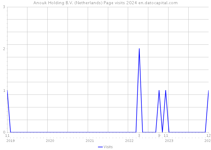 Anouk Holding B.V. (Netherlands) Page visits 2024 