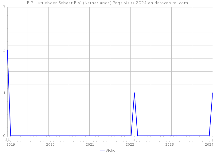 B.P. Luttjeboer Beheer B.V. (Netherlands) Page visits 2024 