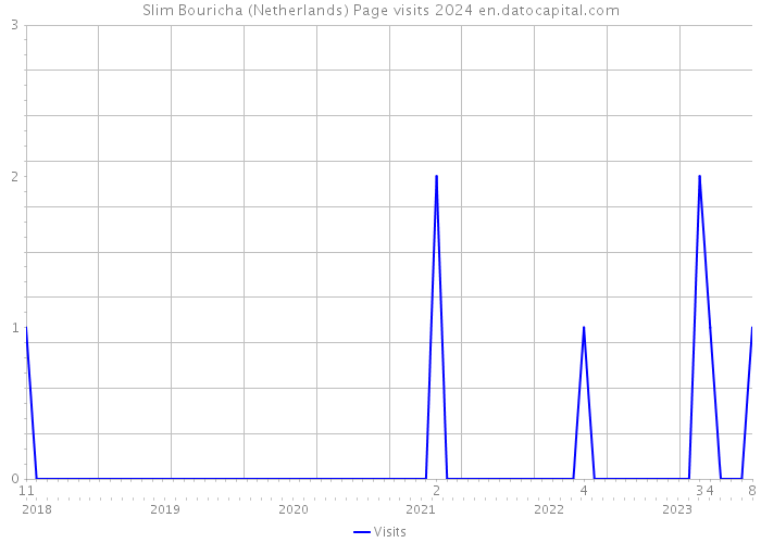 Slim Bouricha (Netherlands) Page visits 2024 