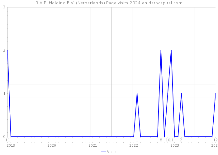 R.A.P. Holding B.V. (Netherlands) Page visits 2024 