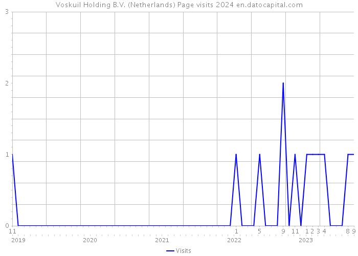 Voskuil Holding B.V. (Netherlands) Page visits 2024 
