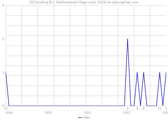 DZ Holding B.V. (Netherlands) Page visits 2024 