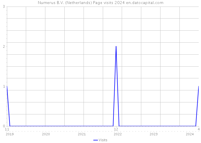 Numerus B.V. (Netherlands) Page visits 2024 