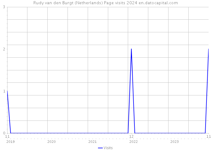 Rudy van den Burgt (Netherlands) Page visits 2024 