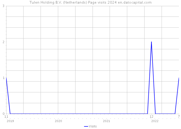 Tulen Holding B.V. (Netherlands) Page visits 2024 