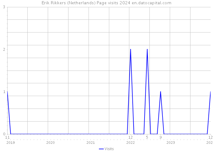 Erik Rikkers (Netherlands) Page visits 2024 