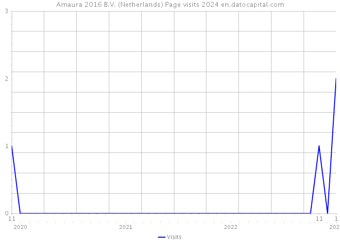 Amaura 2016 B.V. (Netherlands) Page visits 2024 