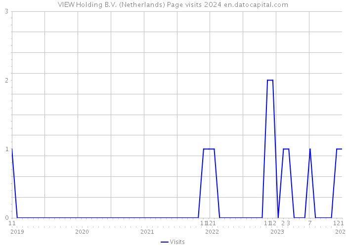 VIEW Holding B.V. (Netherlands) Page visits 2024 