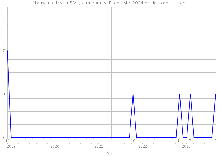 Nieuwstad Invest B.V. (Netherlands) Page visits 2024 