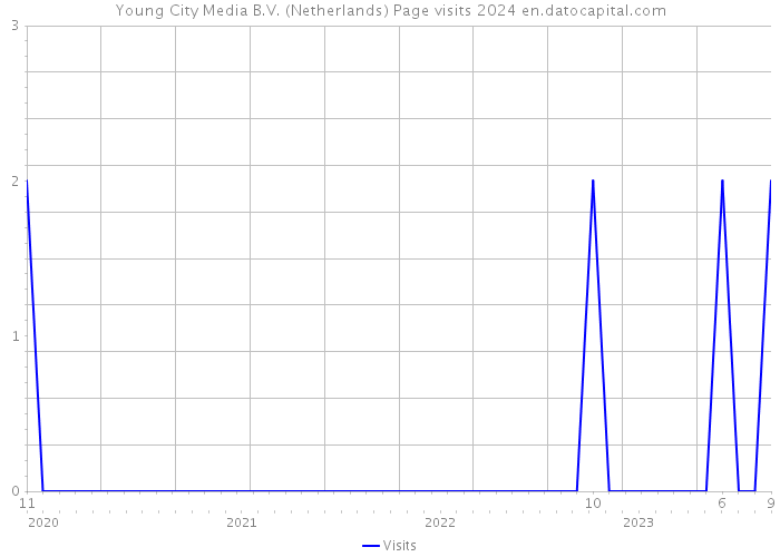 Young City Media B.V. (Netherlands) Page visits 2024 