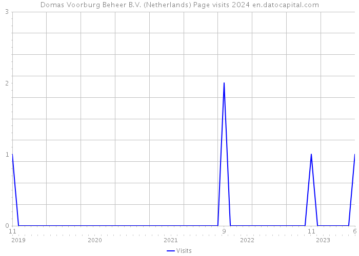 Domas Voorburg Beheer B.V. (Netherlands) Page visits 2024 