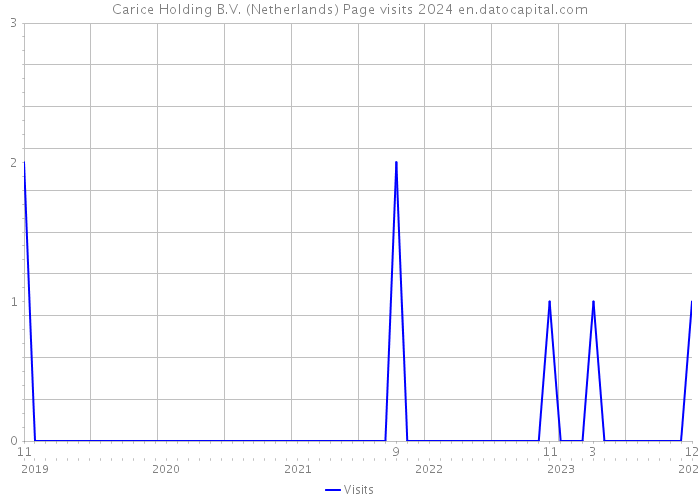 Carice Holding B.V. (Netherlands) Page visits 2024 