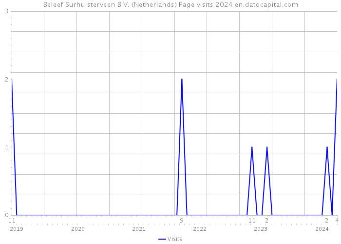 Beleef Surhuisterveen B.V. (Netherlands) Page visits 2024 
