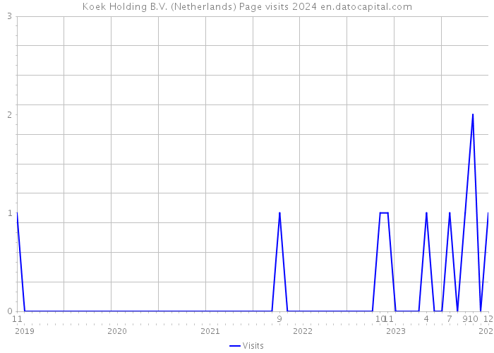 Koek Holding B.V. (Netherlands) Page visits 2024 