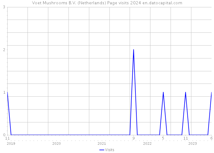 Voet Mushrooms B.V. (Netherlands) Page visits 2024 